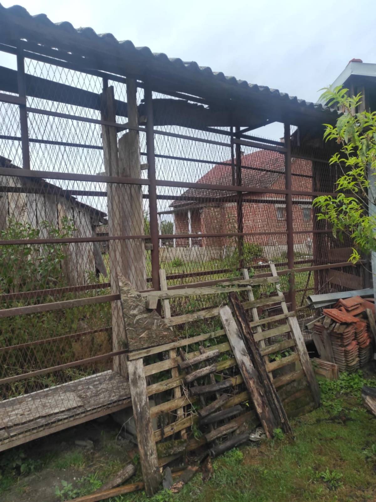 Kukuruzana za kukuruz u klipu bjelovar okolica