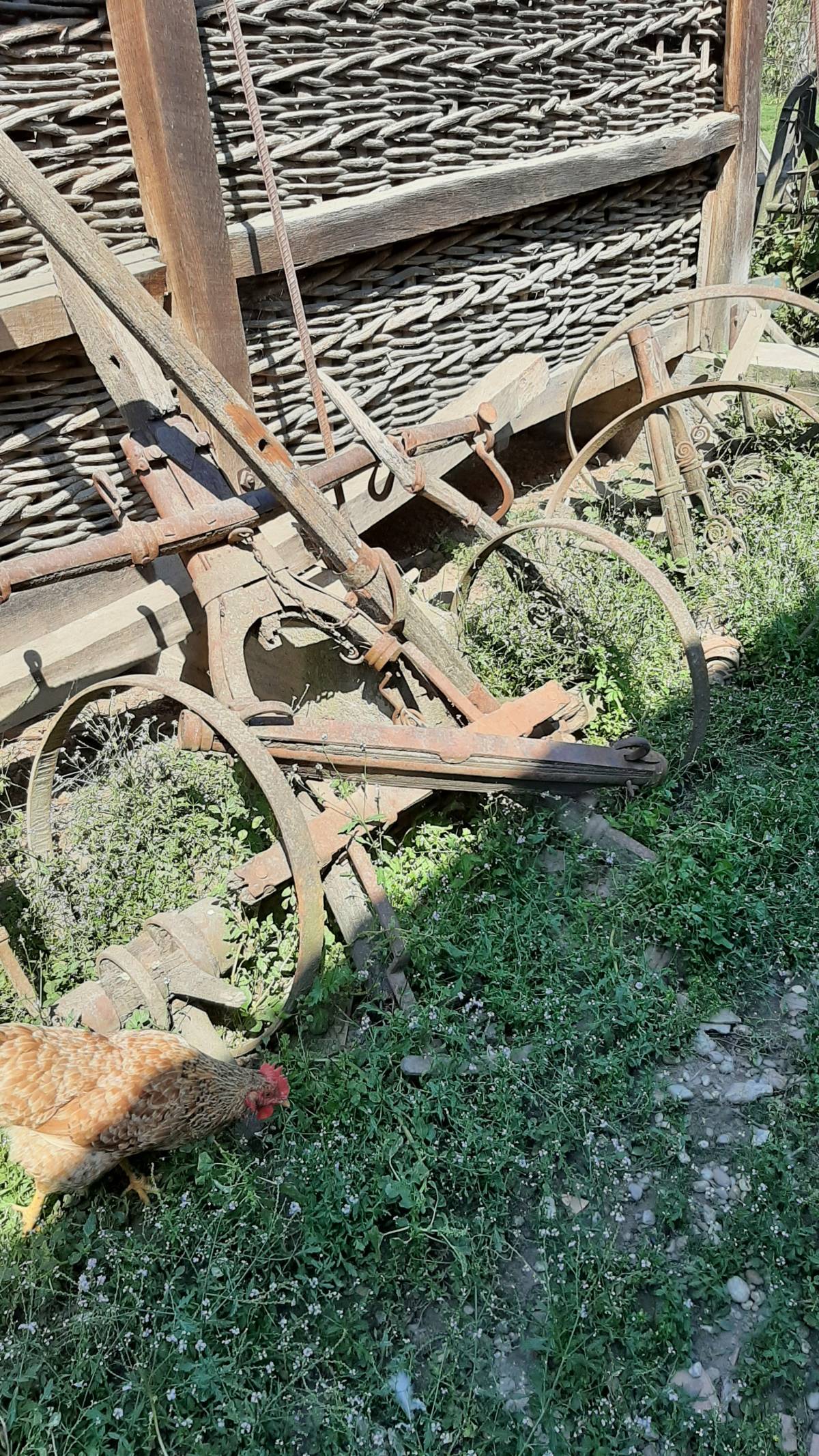 Prodajem  poklanjam