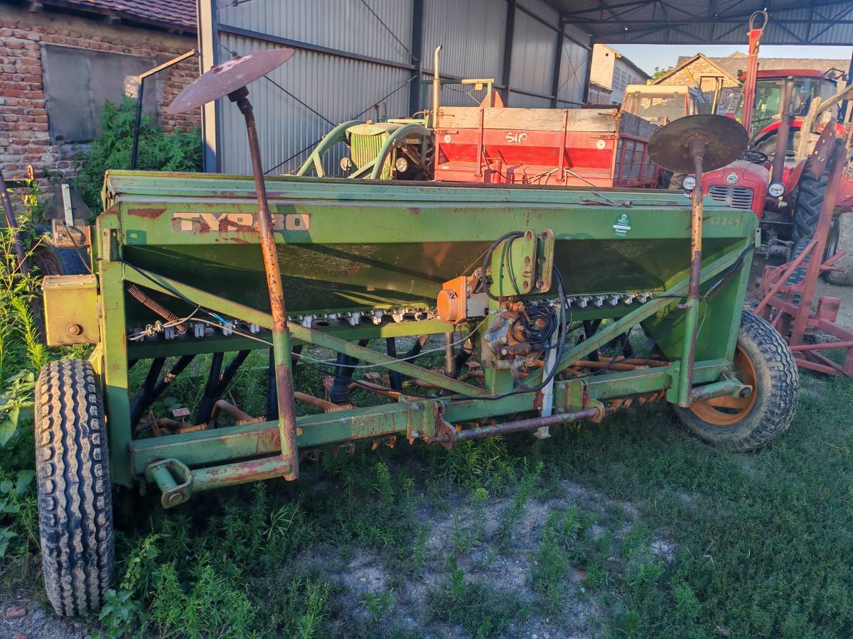 Sijacica Amazone d7