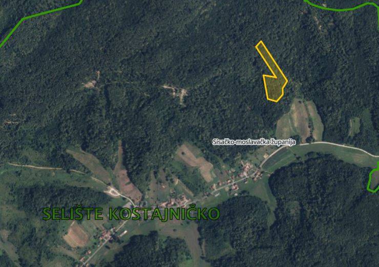 Šuma, Hrvatska Kostajnica (Selište Kostajničko), 15110m2