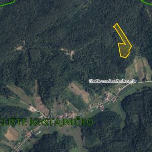Šuma, Hrvatska Kostajnica (Selište Kostajničko), 15110m2