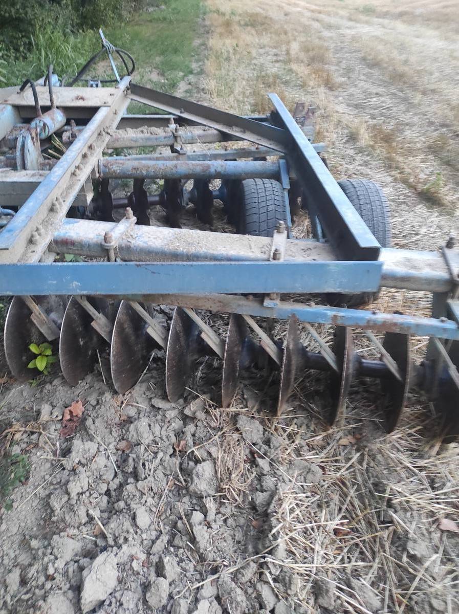 Tanjurača Drava 36