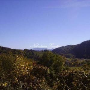 5.927 m2 sa ucrtanim objektom! 