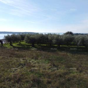 Apartman s krovnom terasom - Residencija Novi Home Novigrad