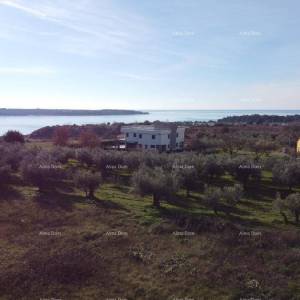 Apartman s krovnom terasom - Residencija Novi Home Novigrad