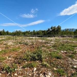 Atraktivna građevinska parcela uz glavnu prometnicu, Lovreć, 5499m2