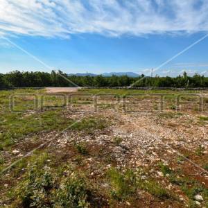 Atraktivna građevinska parcela uz glavnu prometnicu, Lovreć, 5499m2