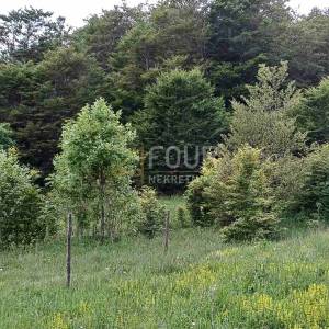 Bakar, Zlobin, poljoprivredno zemljište 7.460m2
