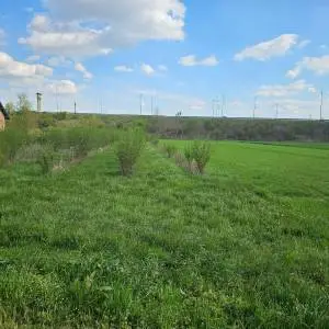 Bani bb, Dugave, 3.093,00 m2, 398.997,00 EUR