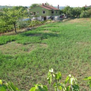 BARBAN - Prodaje se građevinsko zemljište,1329 m2 / 300 m od centra