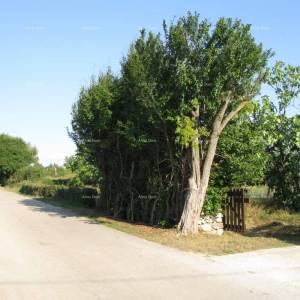 BARBAN - Prodaje se građevinsko zemljište,1329 m2 / 300 m od centra