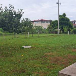 BELAJSKE POLJICE Prizemnica 17 x 4,00 m, roch bau sa dvorištem 843 m2, 31 000 €