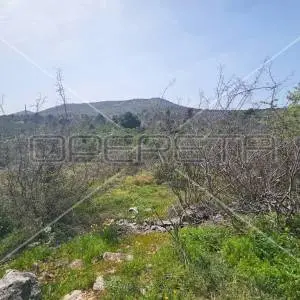 Bilice, Bilice, 14.900,00 m2, 600.000,00 EUR