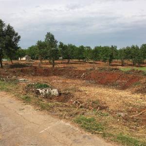 Blizina Poreča ! Građevinsko zemljište sa poljoprivrednim 39.000 M2!