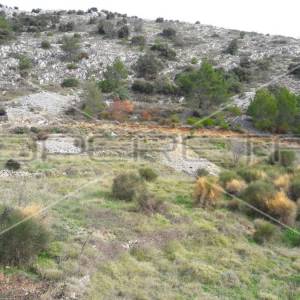 Bol, Bol, 27.980,00 m2, 390.000,00 EUR