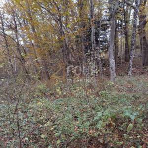 Bosiljevo, zemljište površine 100.581m2, gospodarska zgrada