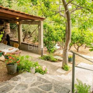 Brač prodaja kuća, parcela 1983m2 4 apartmana i 4soban stan