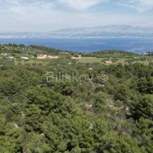 Brač,prodaja,poljoprivredno zemljište 24504m2moguća gradnja