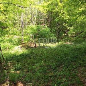 Bribir - okolica, poljoprivredno zemljište, 12.599m2