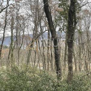 Brseč, građevinsko zemljište od 2.327m2
