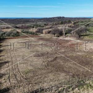 Buje, Buje, 1.036,00 m2, 227.920,00 EUR