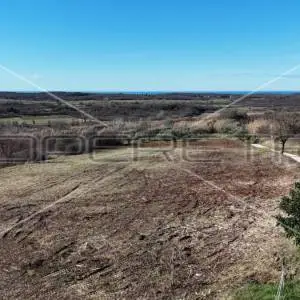 Buje, Buje, 1.036,00 m2, 227.920,00 EUR