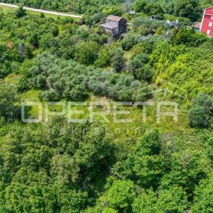 Buje, Buje, 1.999,00 m2, 353.000,00 EUR