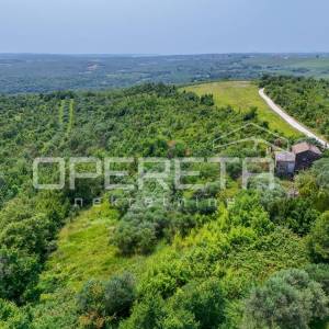 Buje, Buje, 1.999,00 m2, 353.000,00 EUR