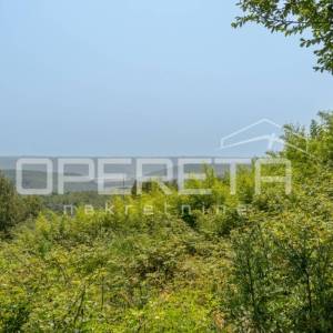 Buje, Buje, 1.999,00 m2, 353.000,00 EUR