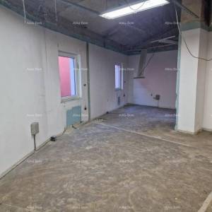 BUJE, POSLOVNI PROSTOR 156 M2