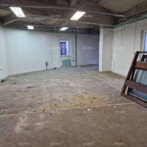BUJE, POSLOVNI PROSTOR 156 M2