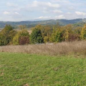  BUTKOVEC, GRAĐEVINSKO 