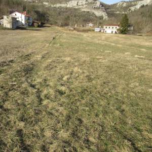BUZET! Prodaje se građevinsko zemljište, 1207 m2