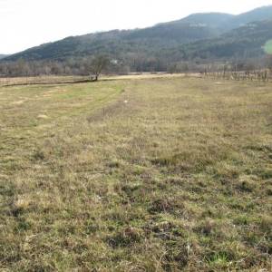 BUZET! Prodaje se građevinsko zemljište, 1207 m2