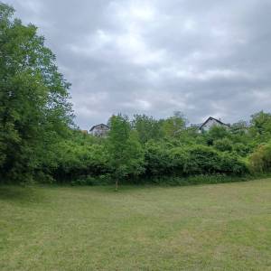 Capekov put, Bizek, 4.897,00 m2, 342.790,00 EUR