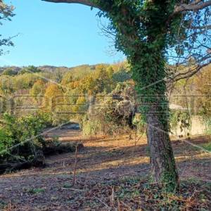 Capekov put, Bizek, 4.897,00 m2, 342.790,00 EUR