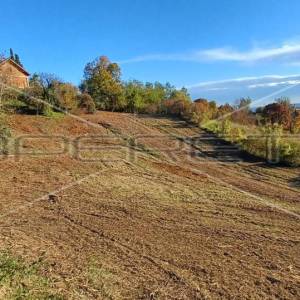Capekov put, Bizek, 4.897,00 m2, 342.790,00 EUR