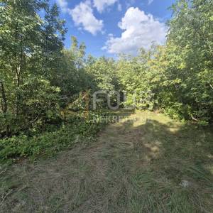 Čavle, građevinsko zemljište, 8.292m2