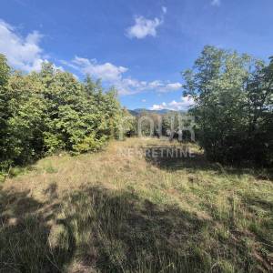 Čavle, građevinsko zemljište, 8.292m2