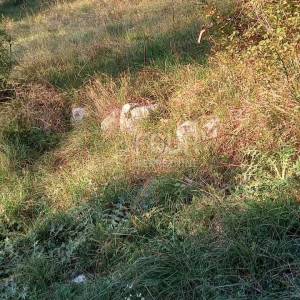 Čavle, građevinsko zemljište 758m2