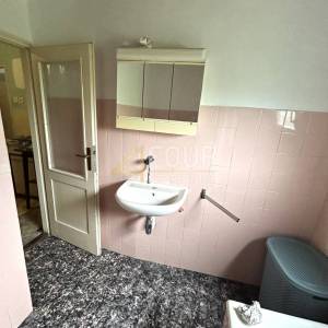 Čavle - okolica, 110m2, kuća s okućnicom