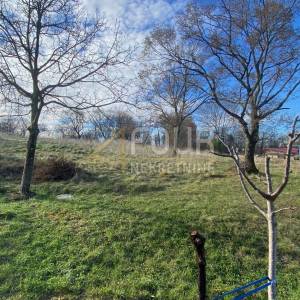 Čavle, samostojeća kuća s garažom i 4.834m2 zemljišta