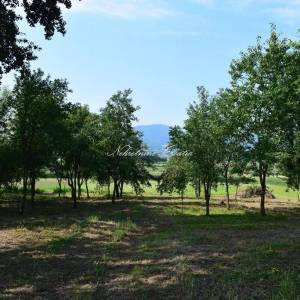 Cerje Nebojse: za adaptaciju; 12 km od Varaždina 