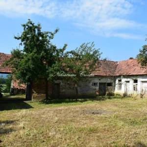 Cerje Nebojse: za adaptaciju; 12 km od Varaždina 