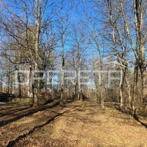 Cerovac Barilovački, Cerovac Barilovićki, 26.770,00 m2, 201.045,00 EUR
