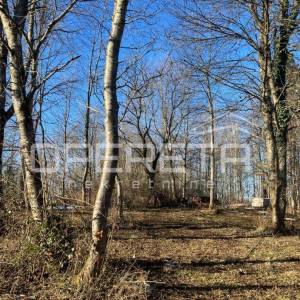 Cerovac Barilovački, Cerovac Barilovićki, 26.770,00 m2, 201.045,00 EUR