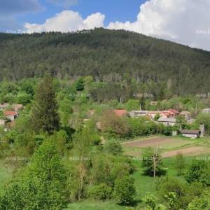 ĆIĆARIJA, Lanišće  - 3 kamene kuće u nizu