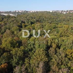 COSTABELLA, BIVIO- građevinsko zemljište 3530m2 s pogledom na more za obiteljsku kuću / villu / stambenu zgradu-stanove -apartm...