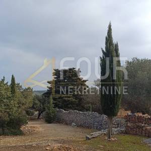 Cres, imanje od 76.054m2 s kućom