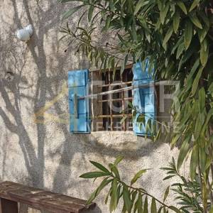 Cres, imanje od 76.054m2 s kućom